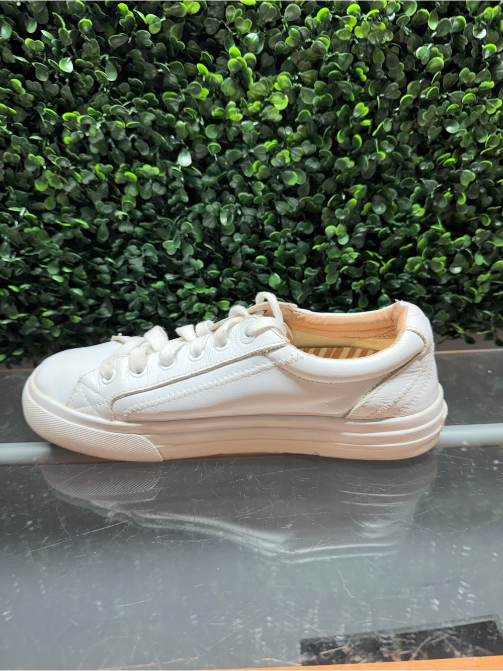 Taos Footwear White Leather Low-Top Sneakers - Picture 5 of 10